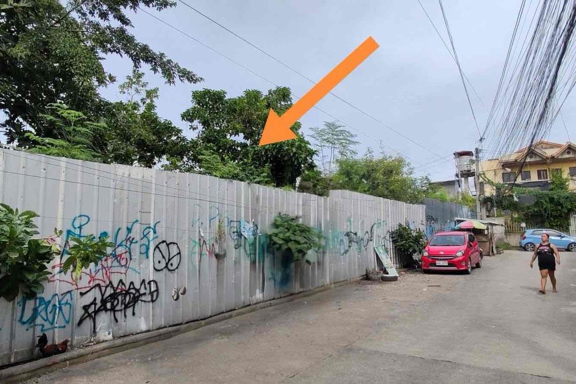 Land for Sale in Pagsabungan, Mandaue, Cebu – photo 2