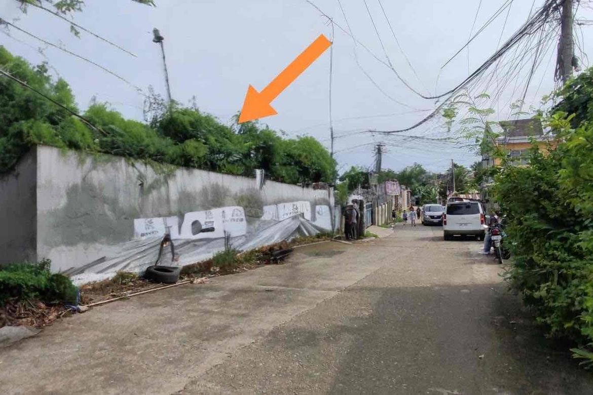 Land for Sale in Pagsabungan, Mandaue, Cebu – photo 4