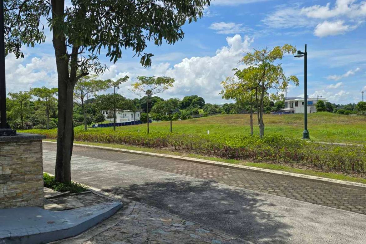 Land for Sale in Pahara at Southwoods City, Cabilang Baybay, Carmona, Cavite – photo 3