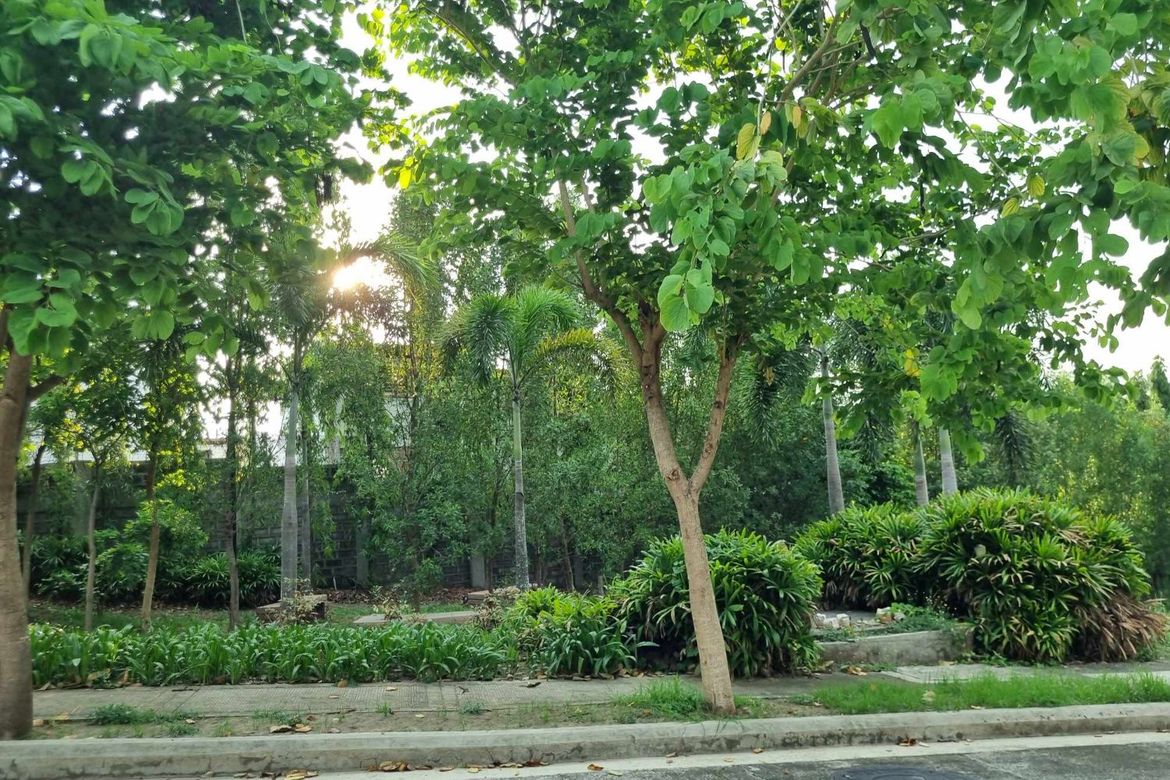 Land for Sale in Pahara at Southwoods City, Cabilang Baybay, Carmona, Cavite – photo 2