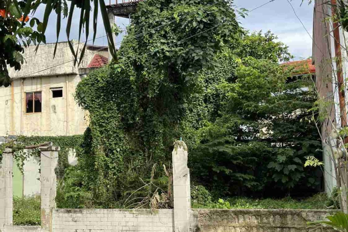 Land for Sale in Pajac, Lapu-Lapu, Cebu