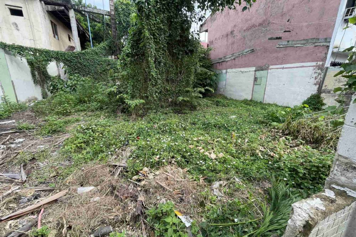 Land for Sale in Pajac, Lapu-Lapu, Cebu – photo 2