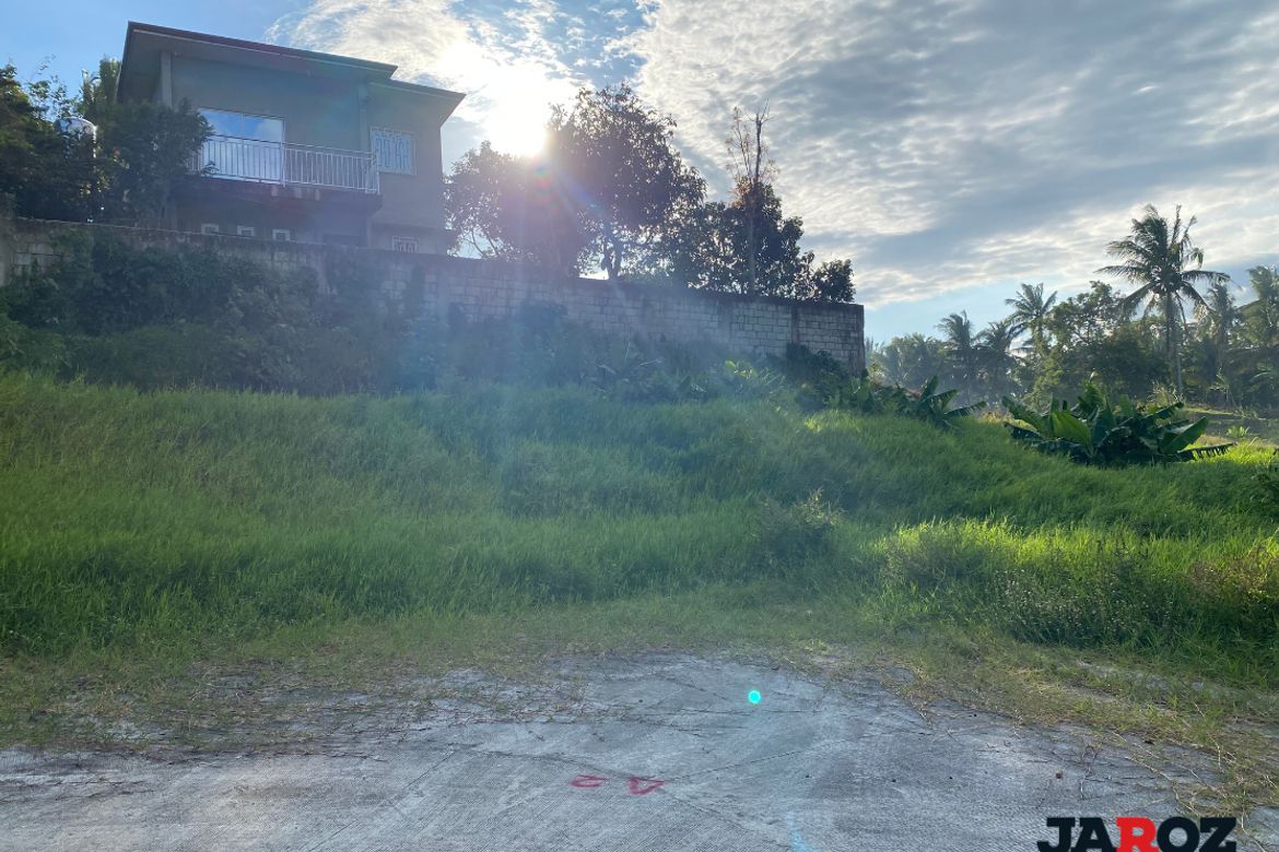 Land for Sale in Pajo, Alfonso, Cavite – photo 4