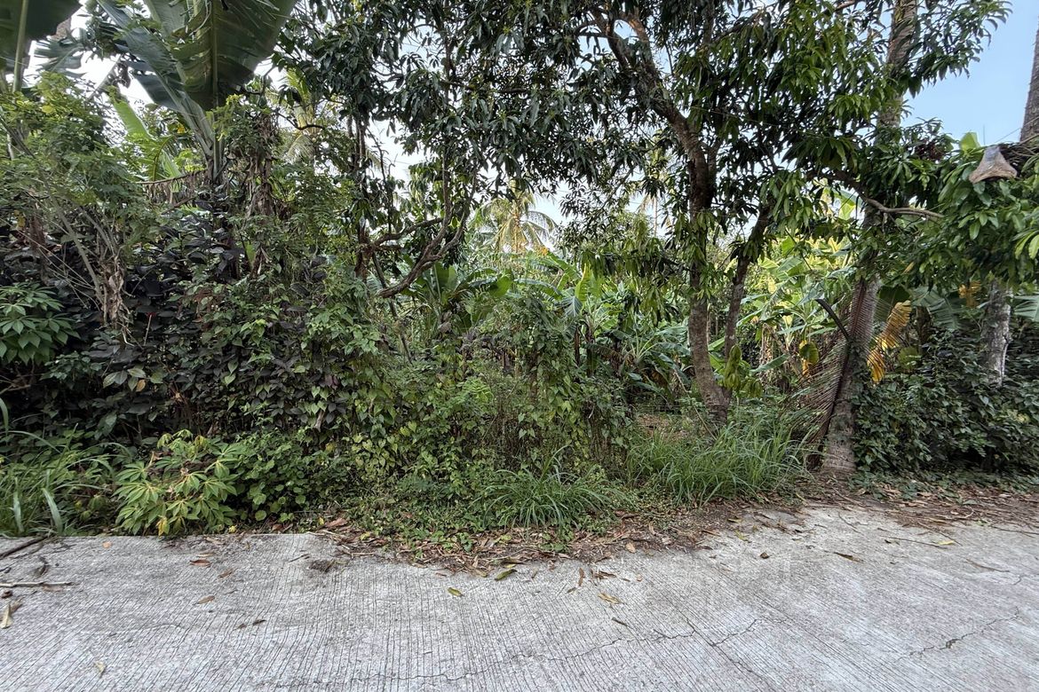 Land for Sale in Pajo, Alfonso, Cavite