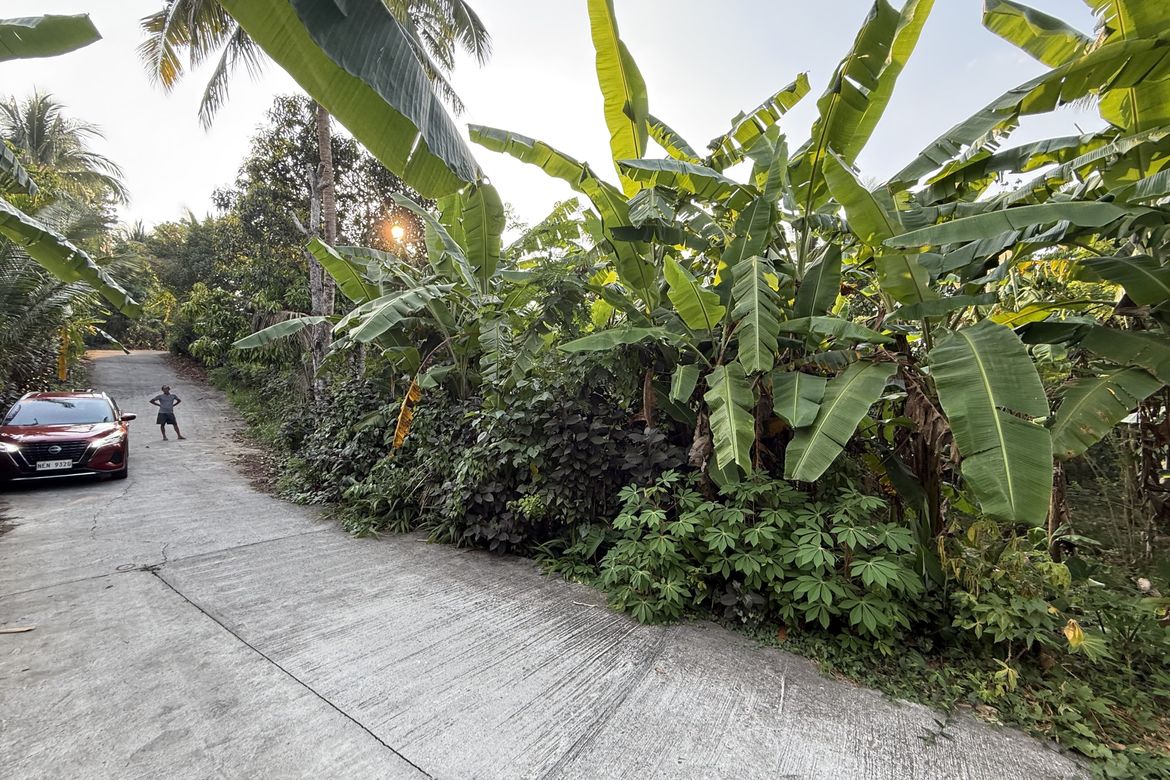 Land for Sale in Pajo, Alfonso, Cavite – photo 3