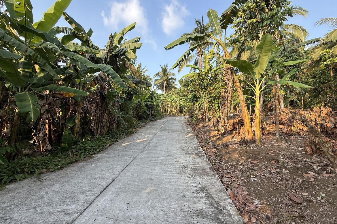 Land for Sale in Pajo, Alfonso, Cavite – photo 5