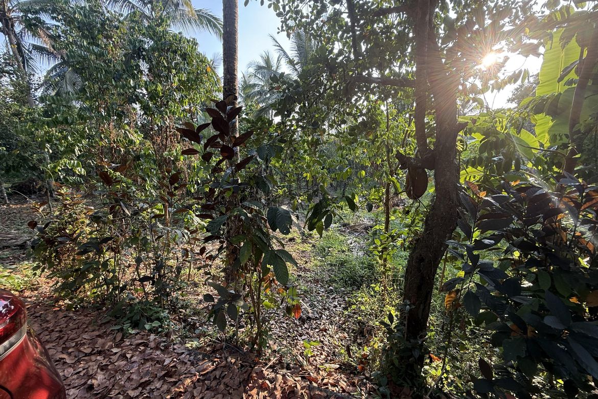 Land for Sale in Pajo, Alfonso, Cavite