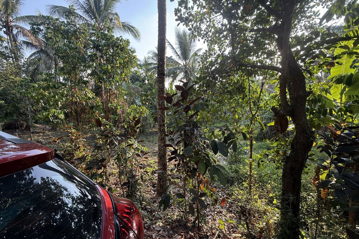 Land for Sale in Pajo, Alfonso, Cavite – photo 2