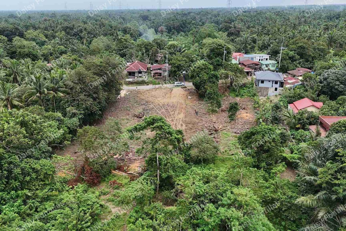 Land for Sale in Pajo, Alfonso, Cavite – photo 2