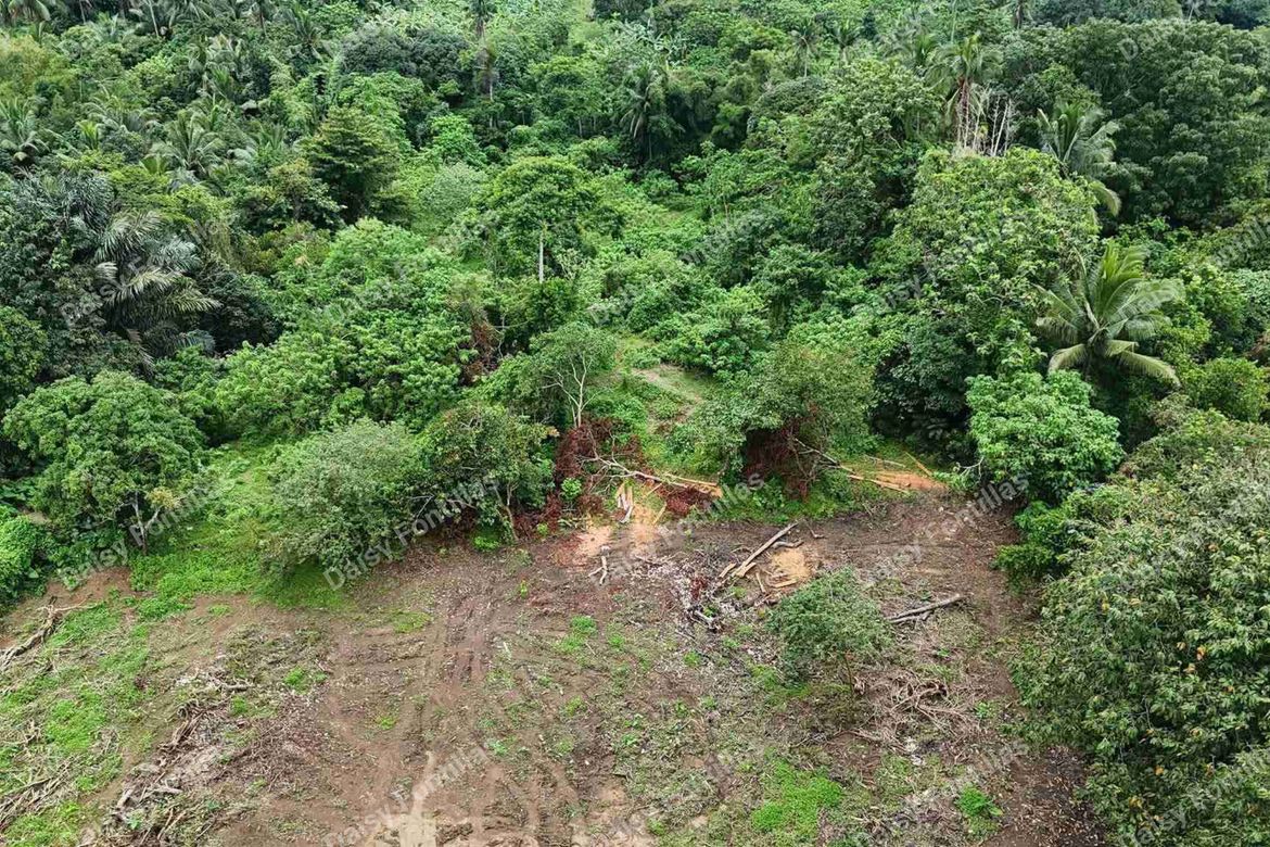 Land for Sale in Pajo, Alfonso, Cavite – photo 5