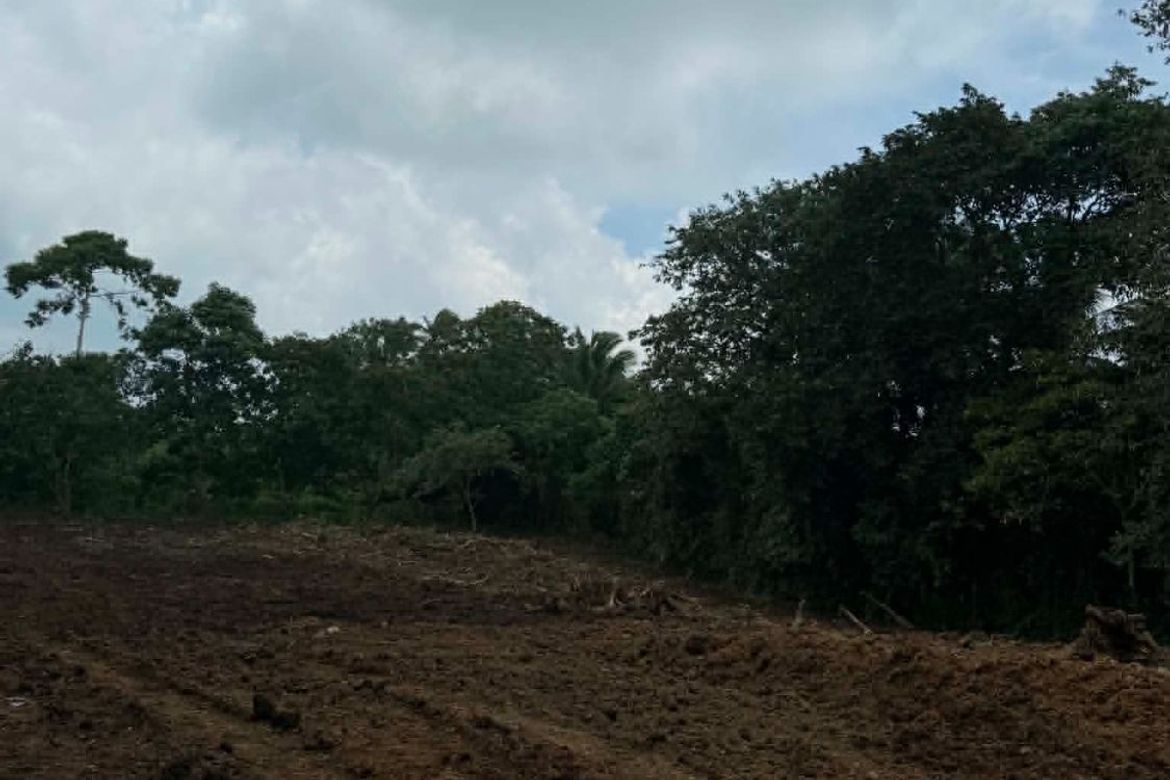 Land for Sale in Pajo, Alfonso, Cavite – photo 3
