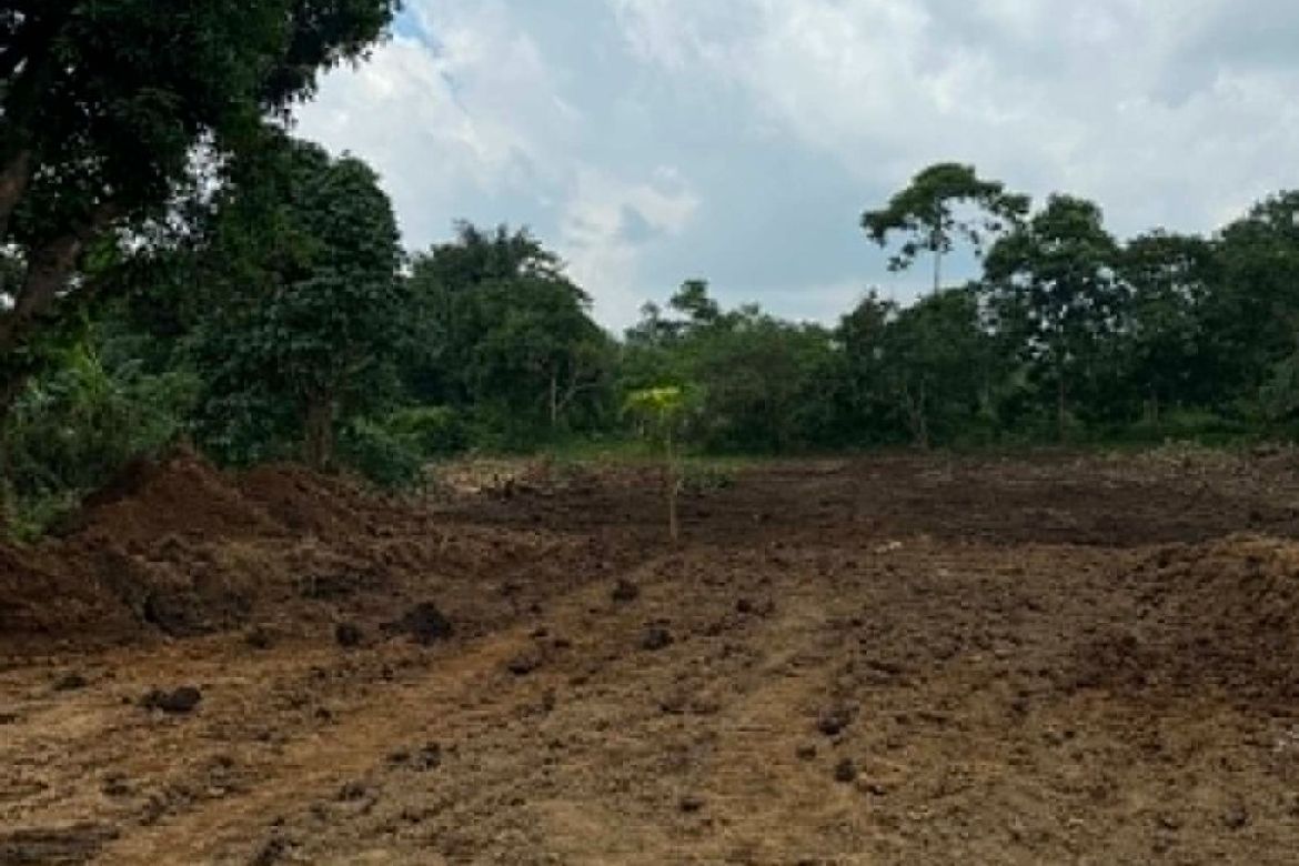 Land for Sale in Pajo, Alfonso, Cavite – photo 5