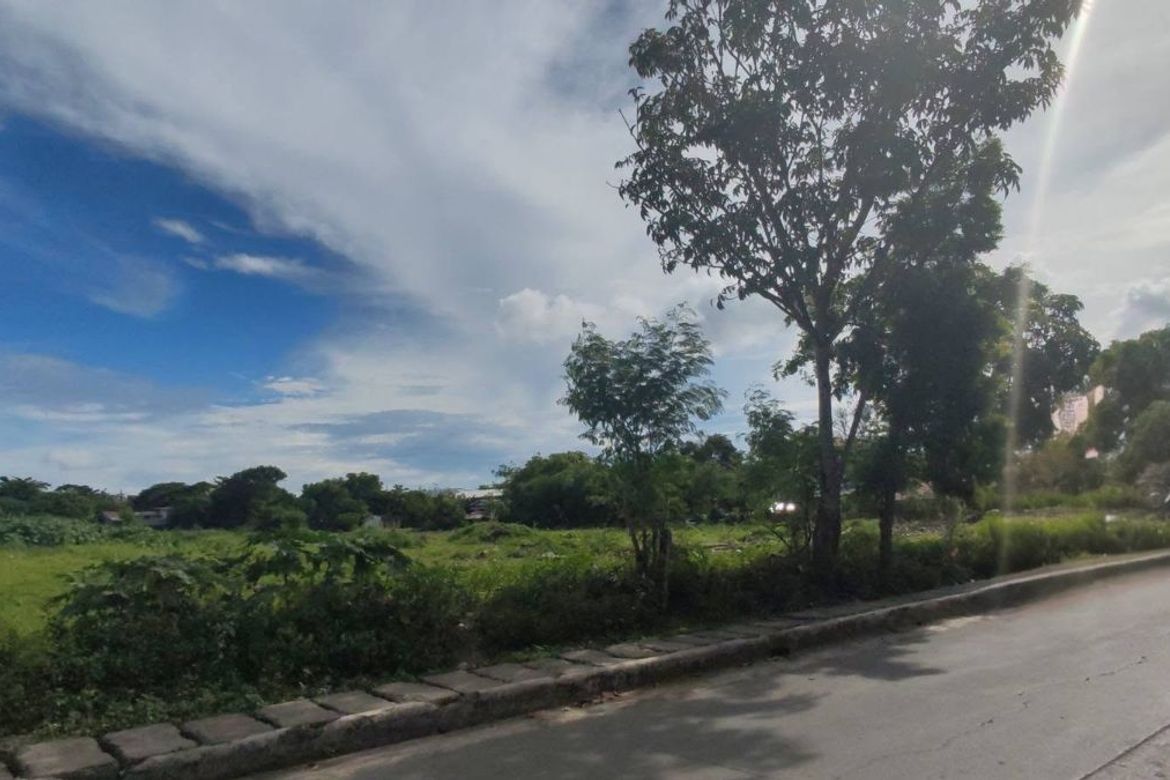 Land for Sale in Pajo, Lapu-Lapu, Cebu – photo 3