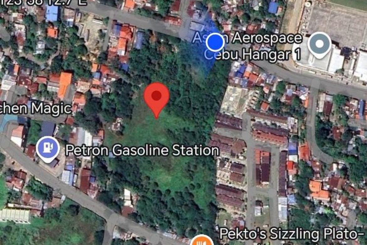 Land for Sale in Pajo, Lapu-Lapu, Cebu – photo 6