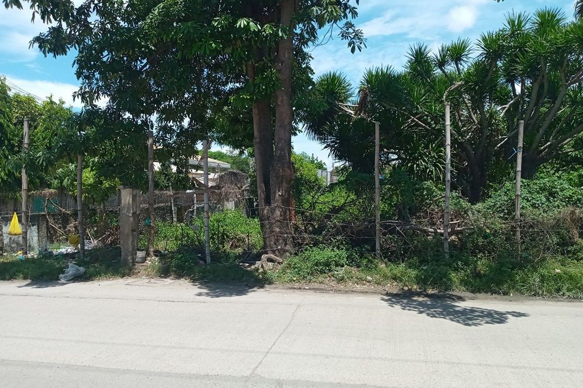 Land for Sale in Pajo, Lapu-Lapu, Cebu