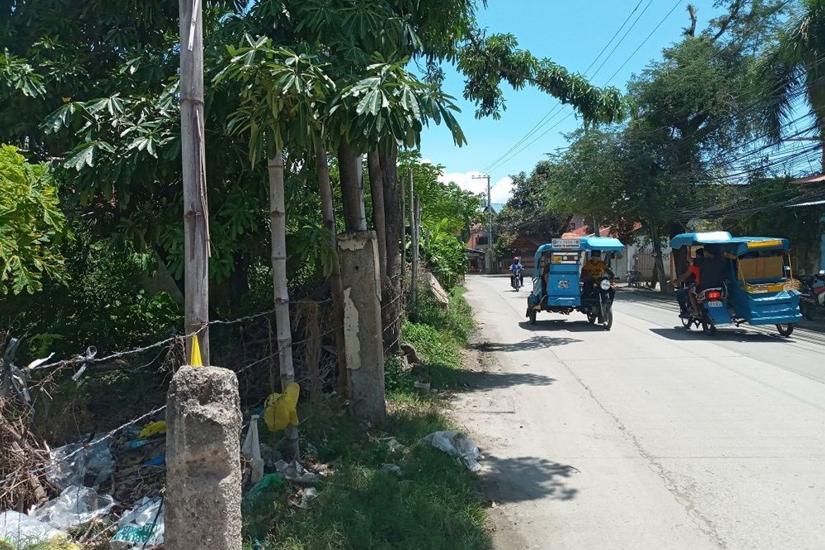 Land for Sale in Pajo, Lapu-Lapu, Cebu – photo 2