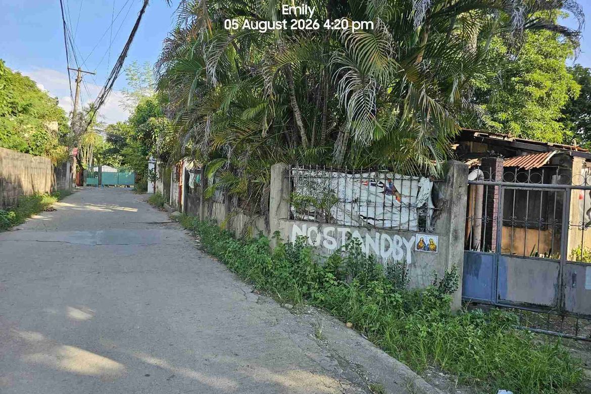 Land for Sale in Pajo, Lapu-Lapu, Cebu – photo 2