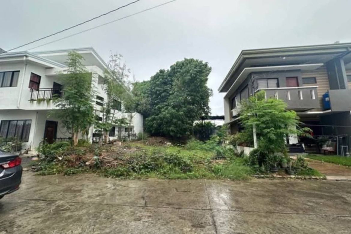 Land for Sale in Pakigne, Minglanilla, Cebu – photo 2