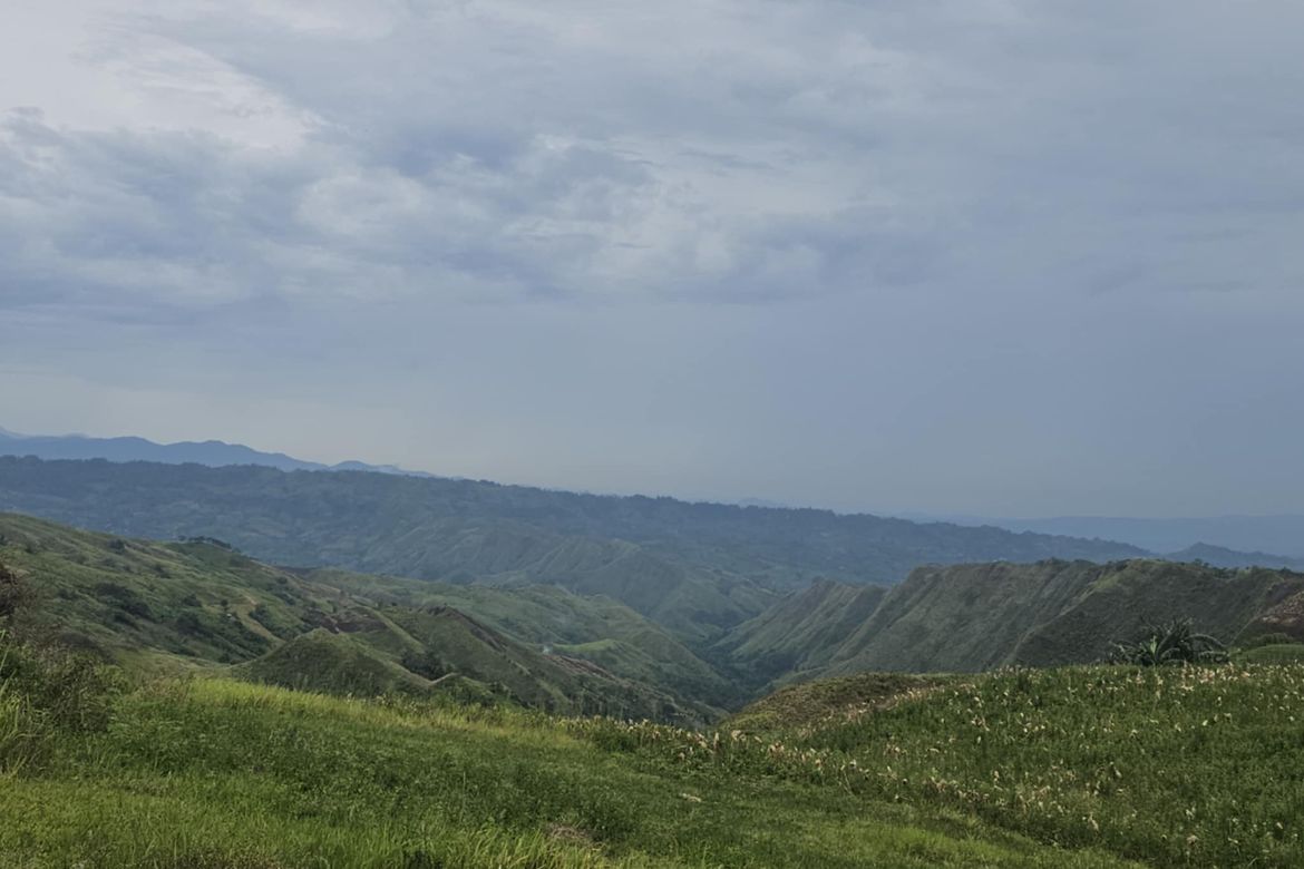 Land for Sale in Palacapao, Quezon, Bukidnon – photo 2