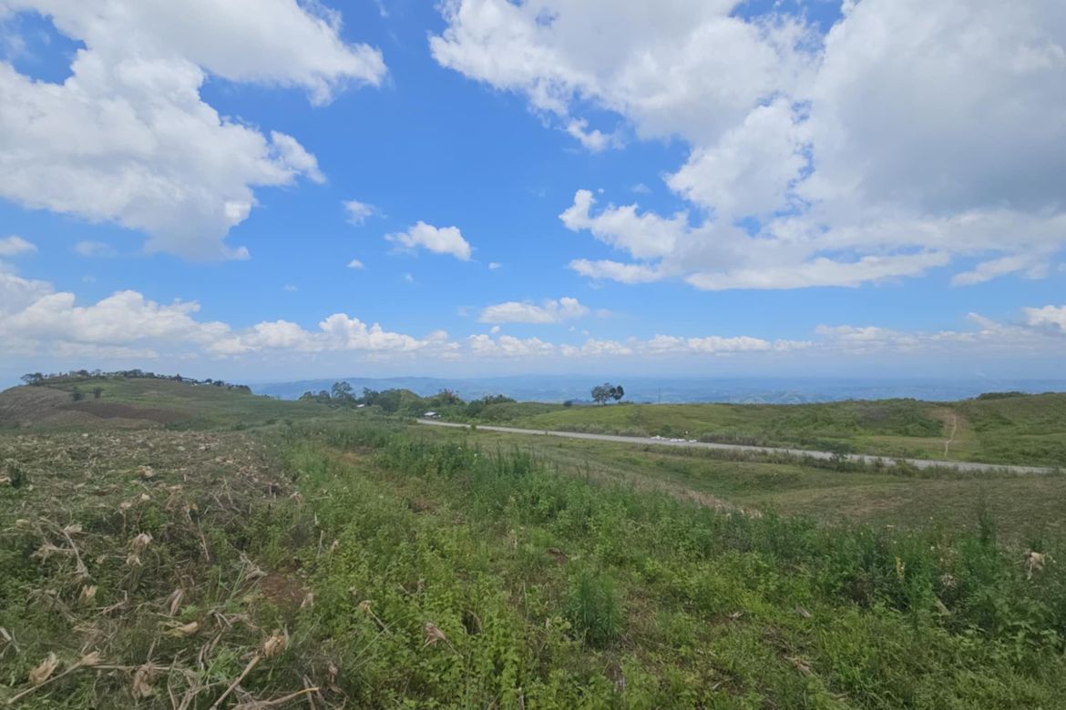 Land for Sale in Palacapao, Quezon, Bukidnon – photo 5