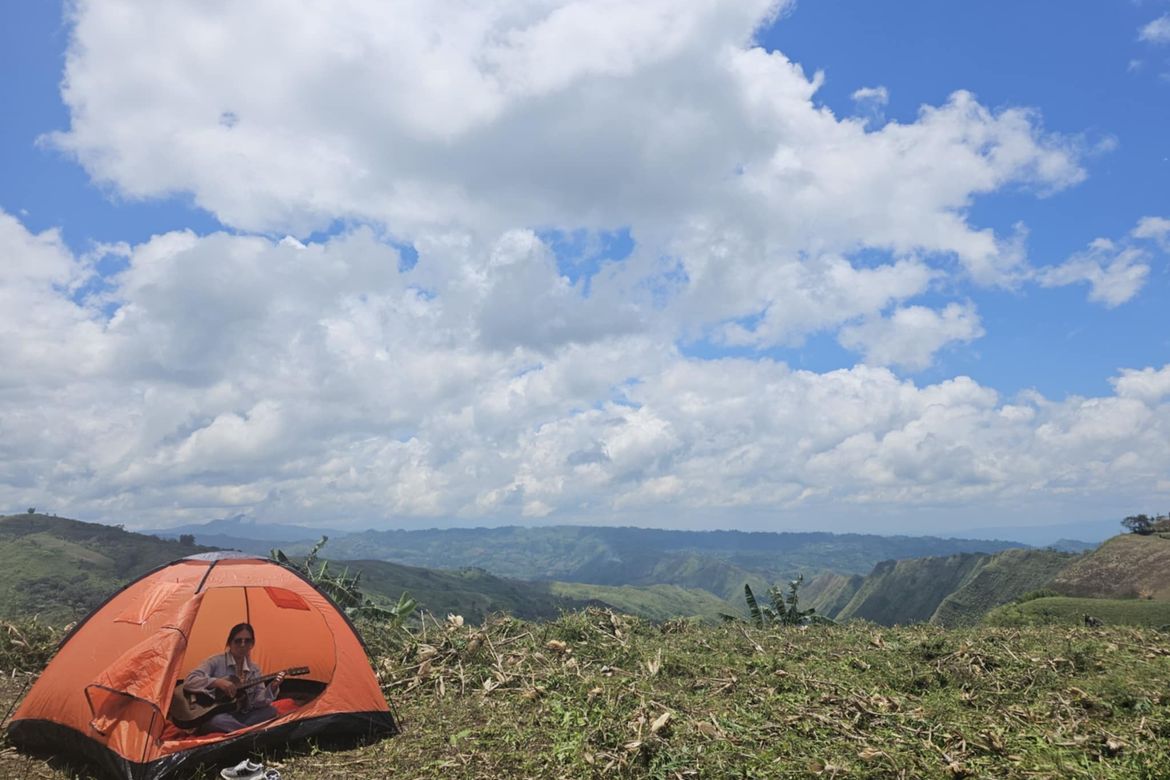 Land for Sale in Palacapao, Quezon, Bukidnon – photo 7