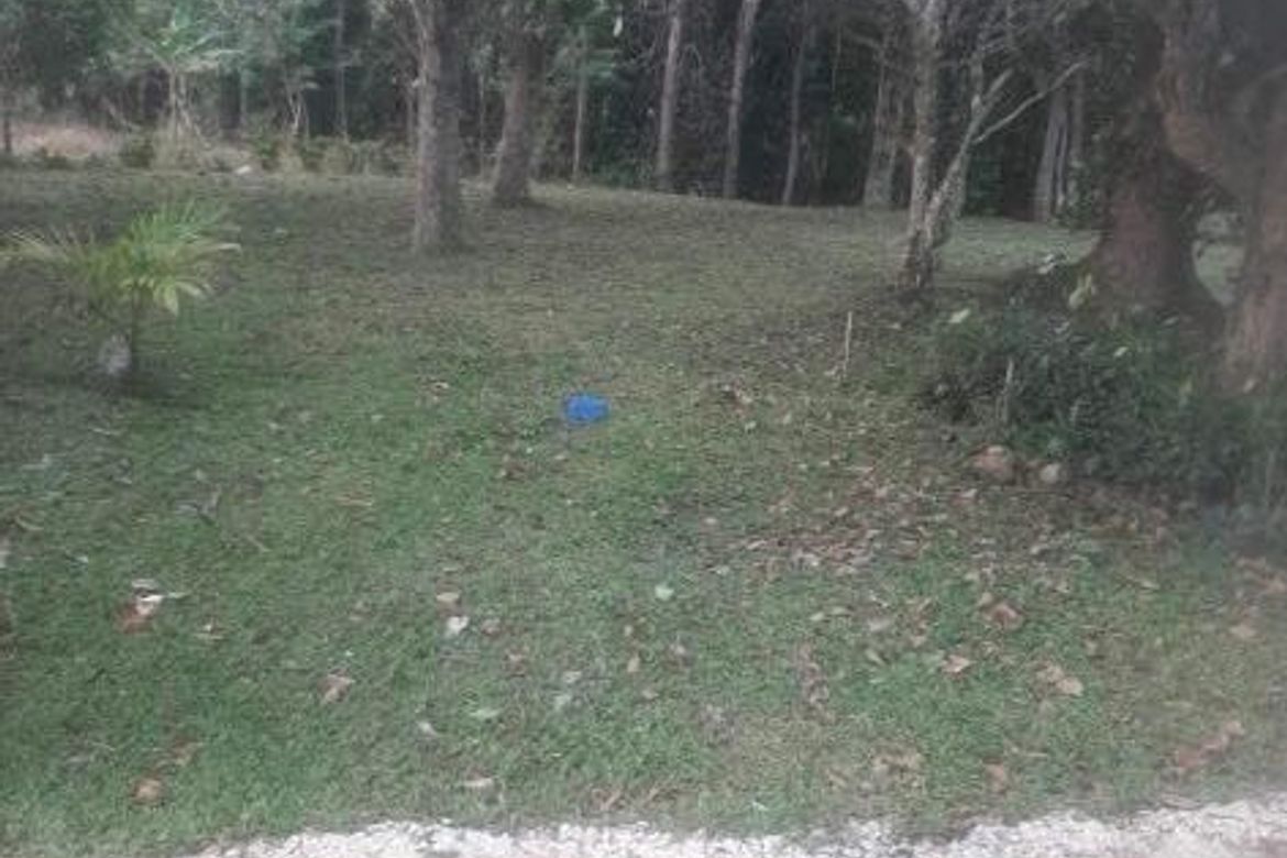 Land for Sale in Palampas, San Carlos, Negros Occidental – photo 5