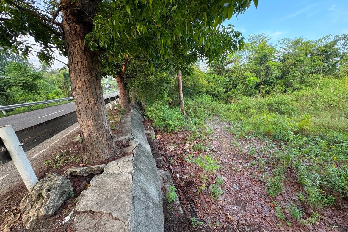Land for Sale in Palanas, Alcantara, Cebu