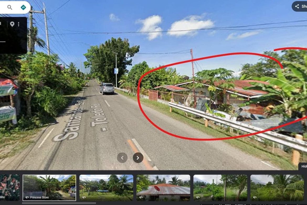 Land for Sale in Palanas, Alcantara, Cebu – photo 3