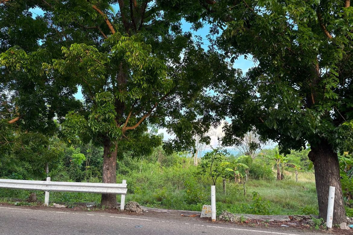 Land for Sale in Palanas, Alcantara, Cebu – photo 6
