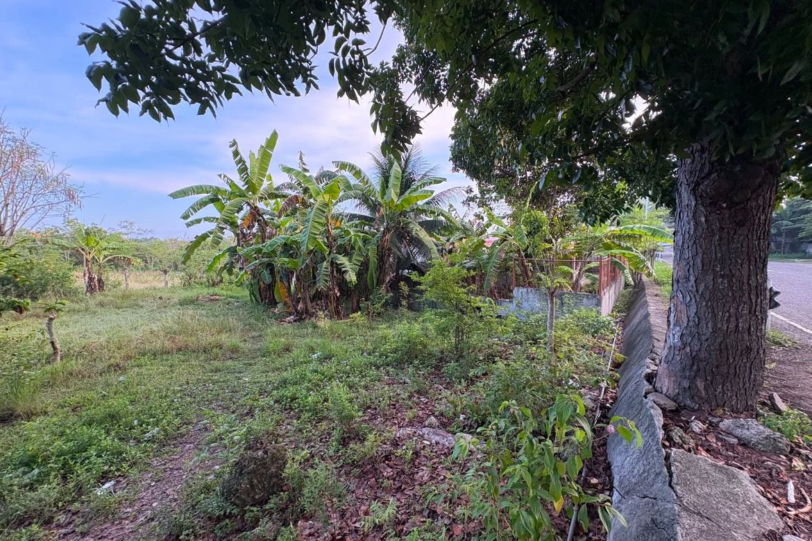 Land for Sale in Palanas, Alcantara, Cebu – photo 7