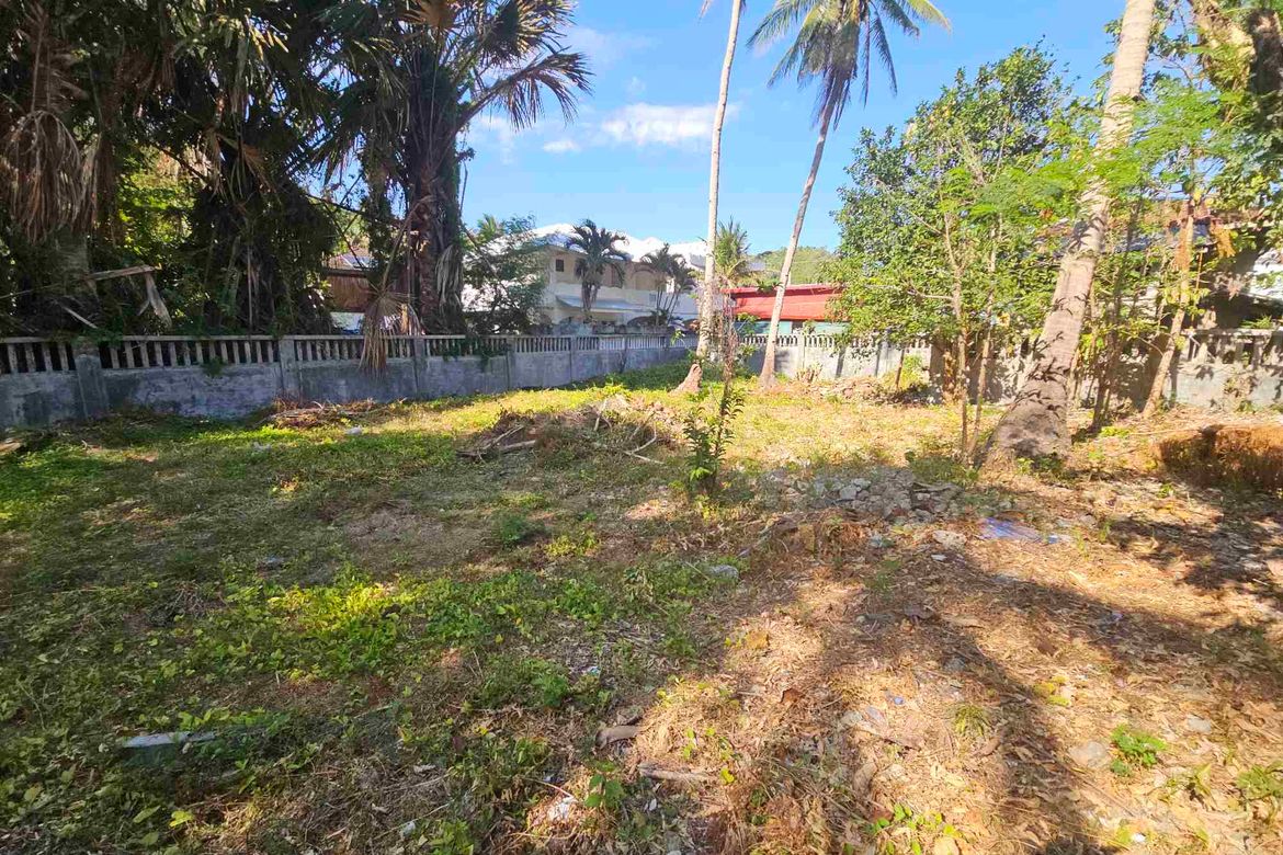 Land for Sale in Palangan, Puerto Galera, Oriental Mindoro