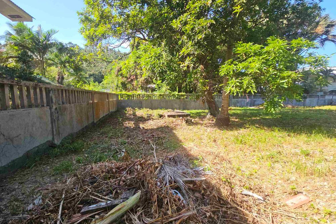 Land for Sale in Palangan, Puerto Galera, Oriental Mindoro – photo 8