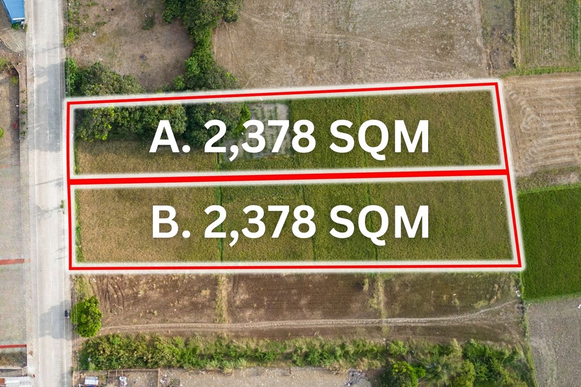 Land for Sale in Palanginan, Iba, Zambales