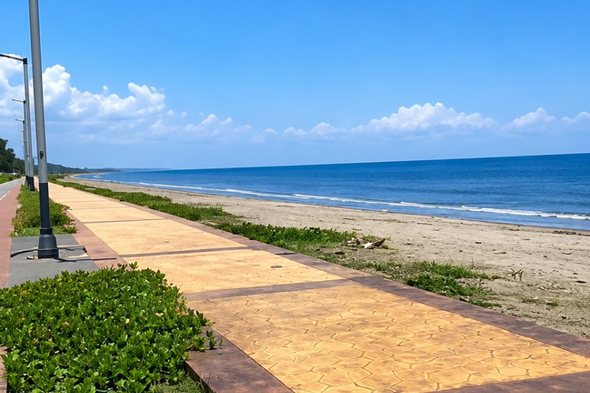 Land for Sale in Palapad, San Fabian, Pangasinan – photo 2