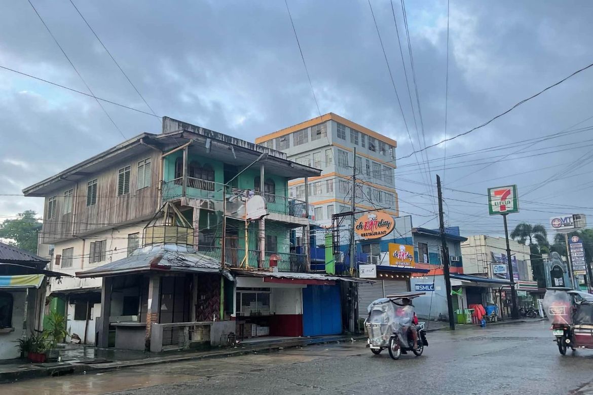 Land for Sale in Palaris, San Carlos, Pangasinan – photo 6