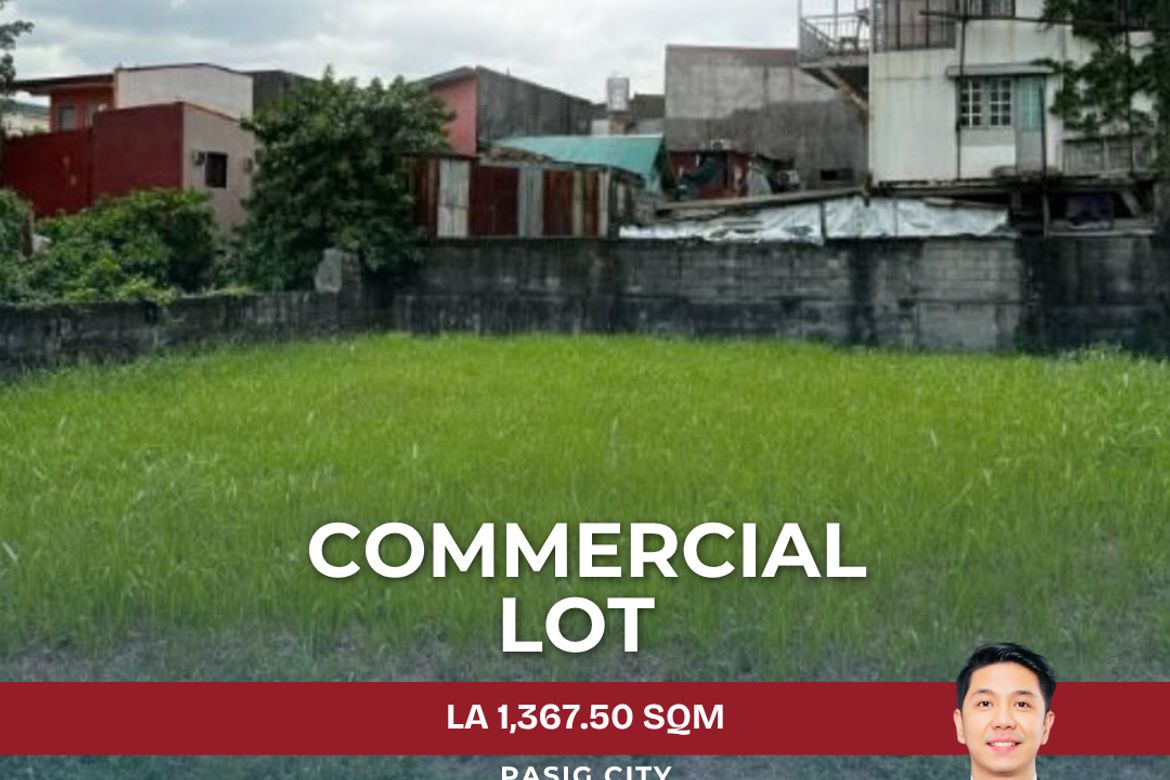 Land for Sale in Palatiw, Pasig, Metro Manila