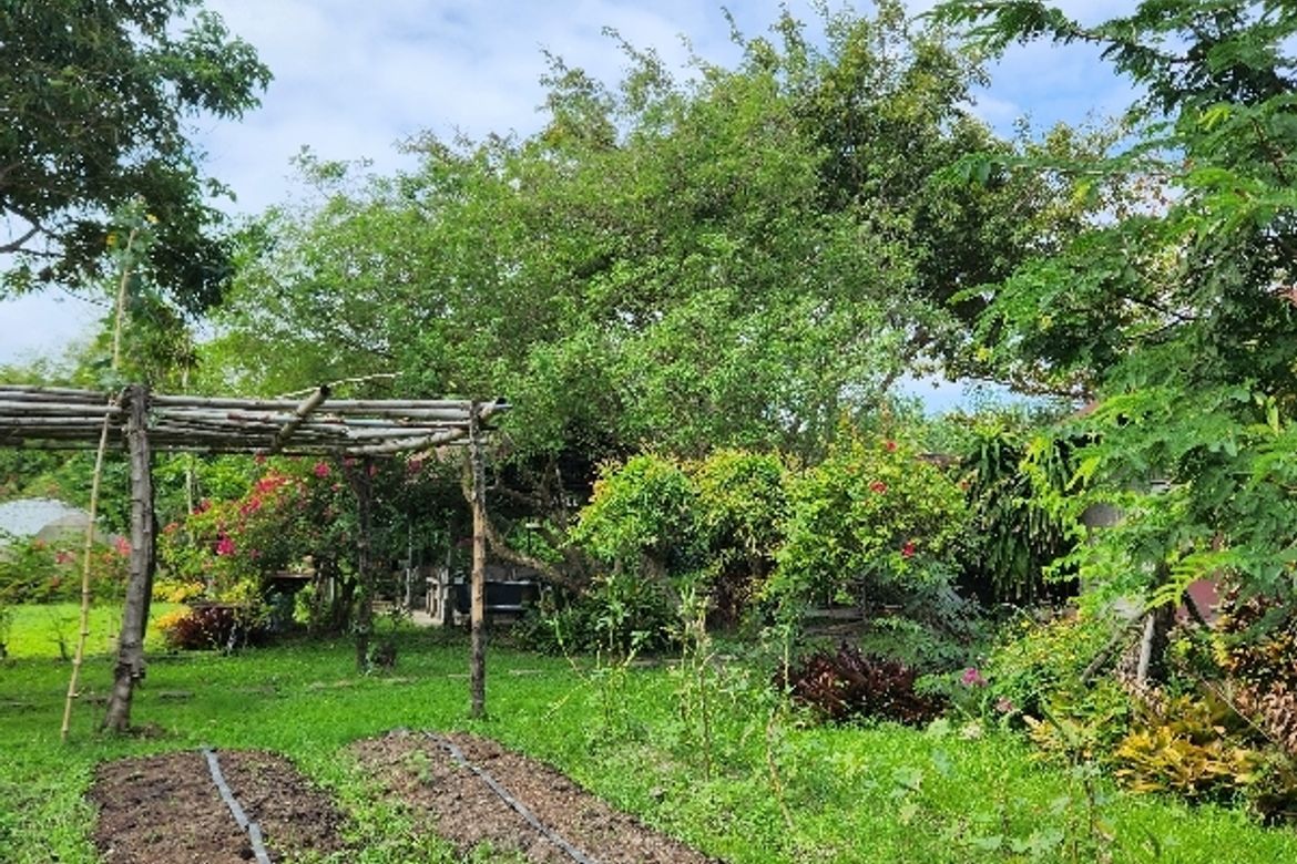 Land for Sale in Palaypalay, Jala-Jala, Rizal