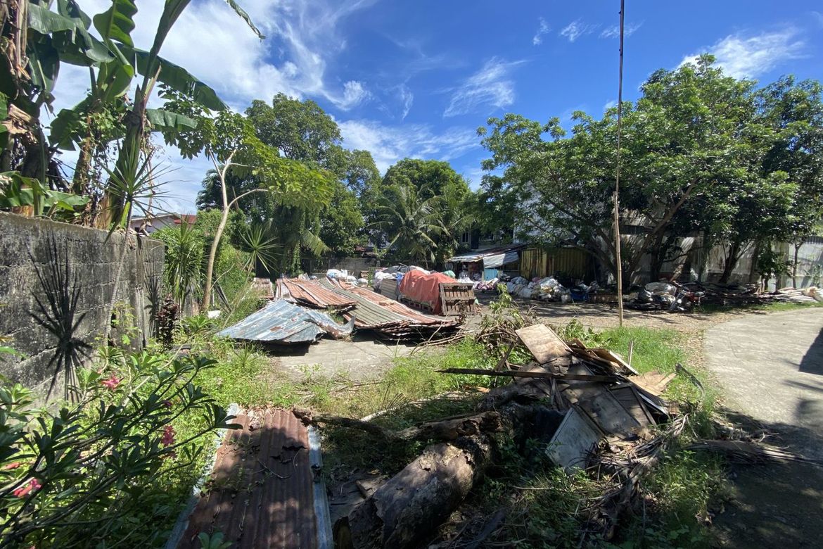 Land for Sale in Pale Benedicto Rizal, Iloilo City, Iloilo – photo 7