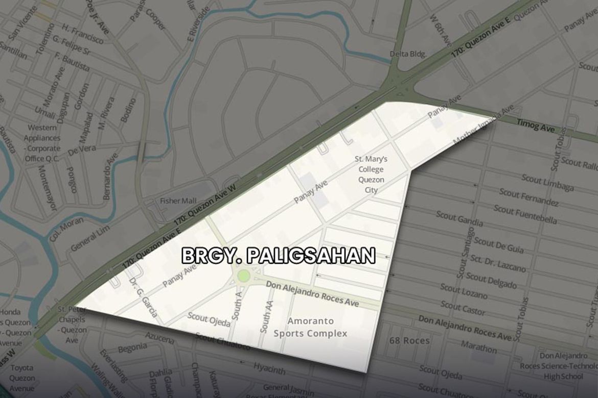 Land for Sale in Paligsahan, Quezon City, Metro Manila – photo 2