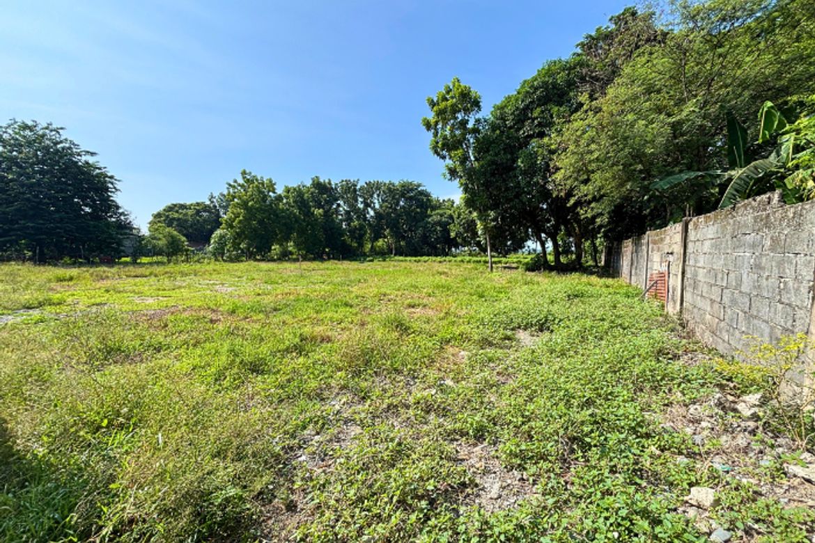 Land for Sale in Palina East, Urdaneta, Pangasinan