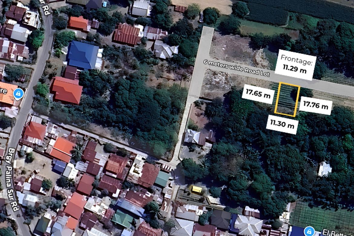 Land for Sale in Palina East, Urdaneta, Pangasinan – photo 7