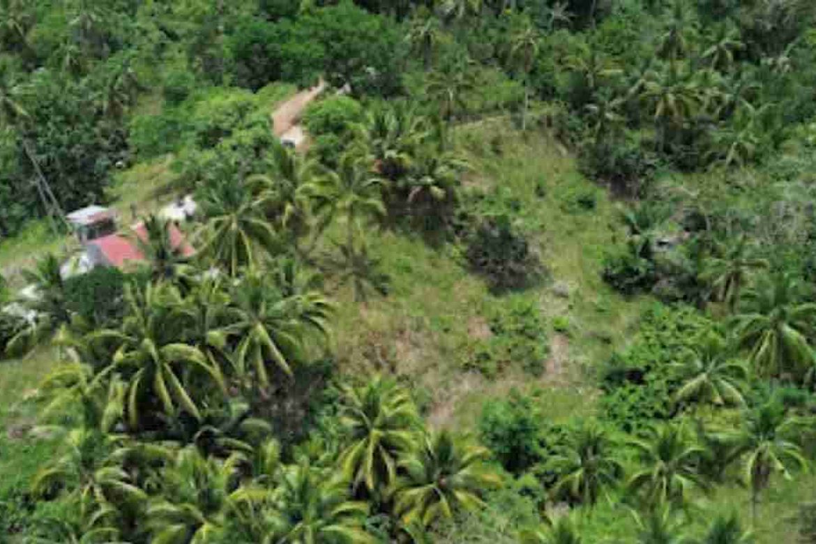 Land for Sale in Palinpinon, Valencia, Negros Oriental