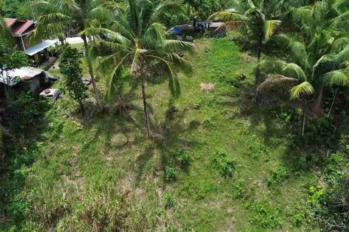 Land for Sale in Palinpinon, Valencia, Negros Oriental – photo 3