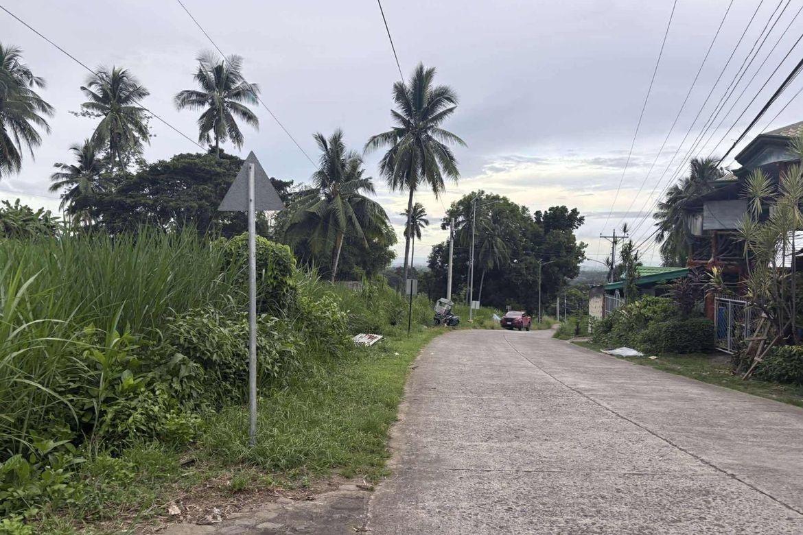 Land for Sale in Palinpinon, Valencia, Negros Oriental