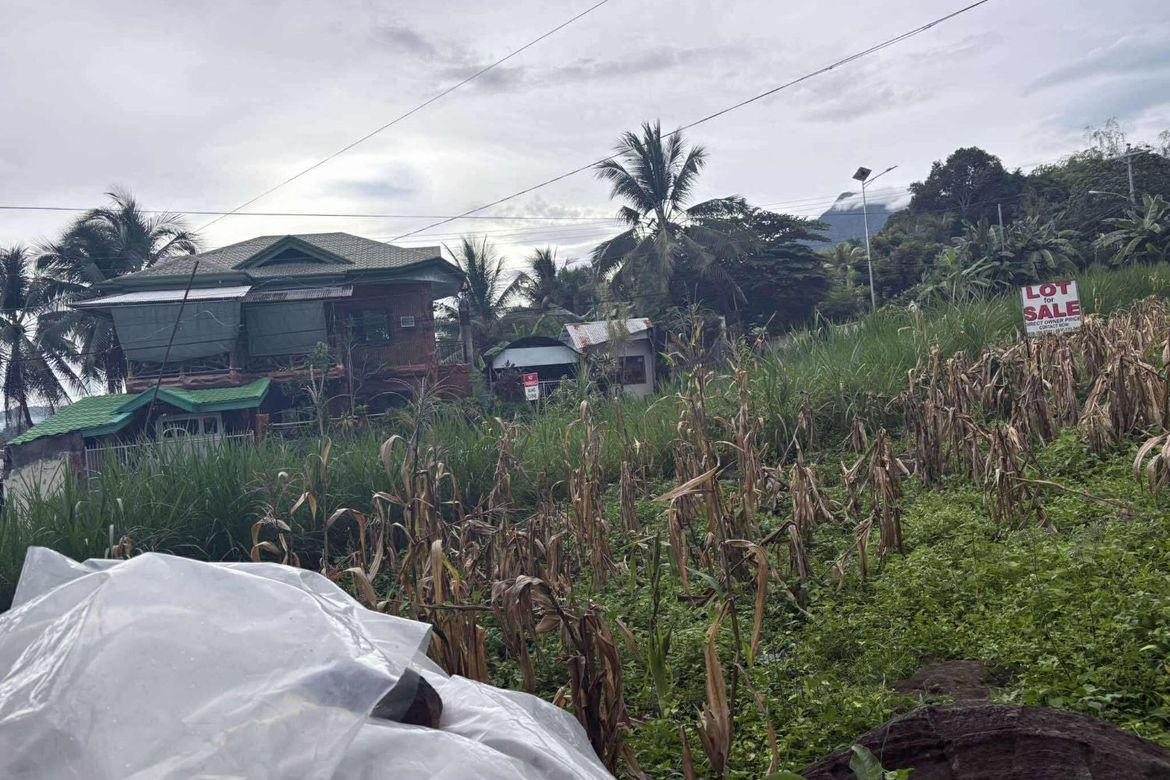 Land for Sale in Palinpinon, Valencia, Negros Oriental – photo 3