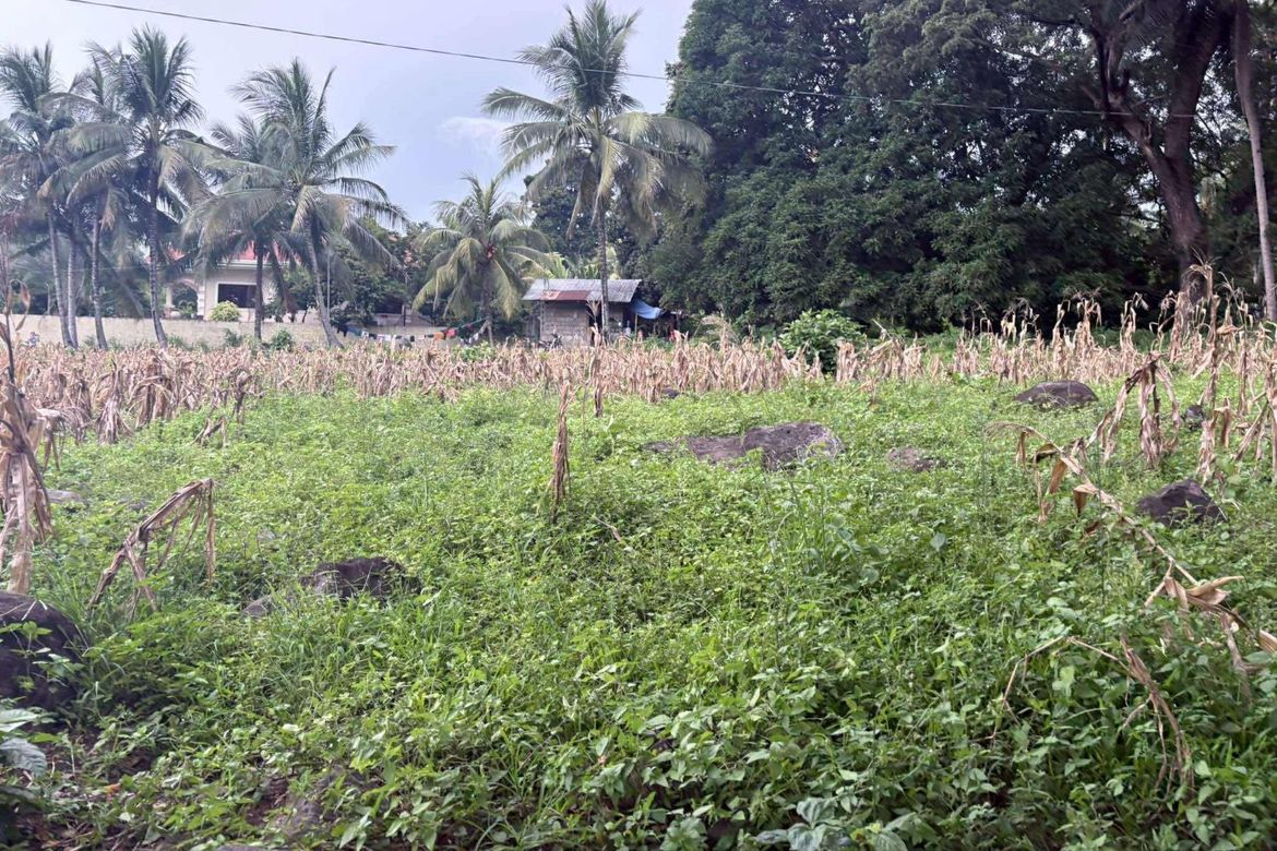 Land for Sale in Palinpinon, Valencia, Negros Oriental – photo 4