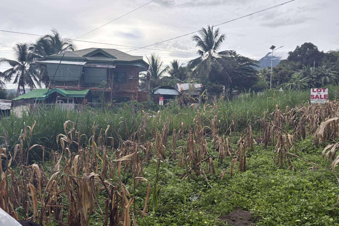 Land for Sale in Palinpinon, Valencia, Negros Oriental – photo 6