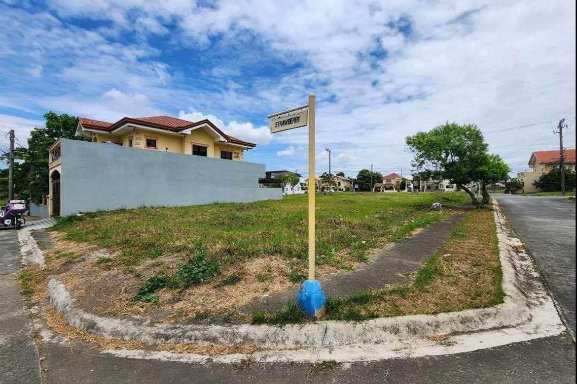 Land for Sale in Paliparan I, Dasmariñas, Cavite – photo 5