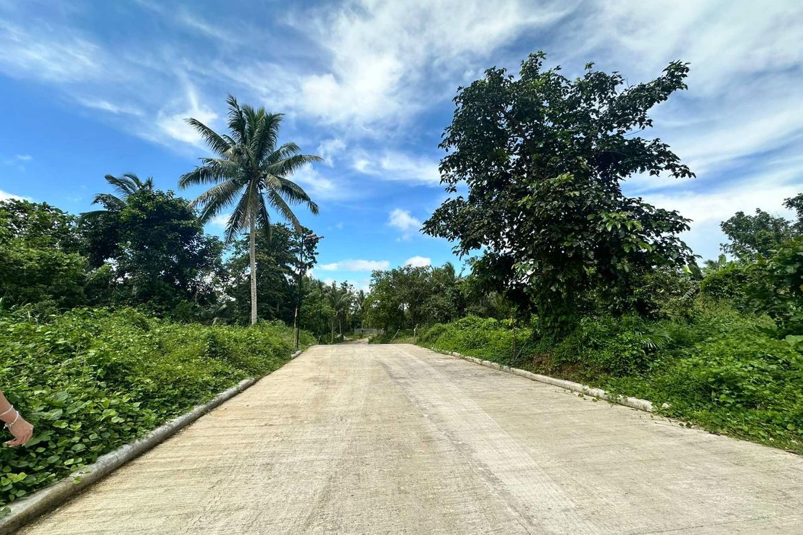 Land for Sale in Paliparan, Laurel, Batangas – photo 3