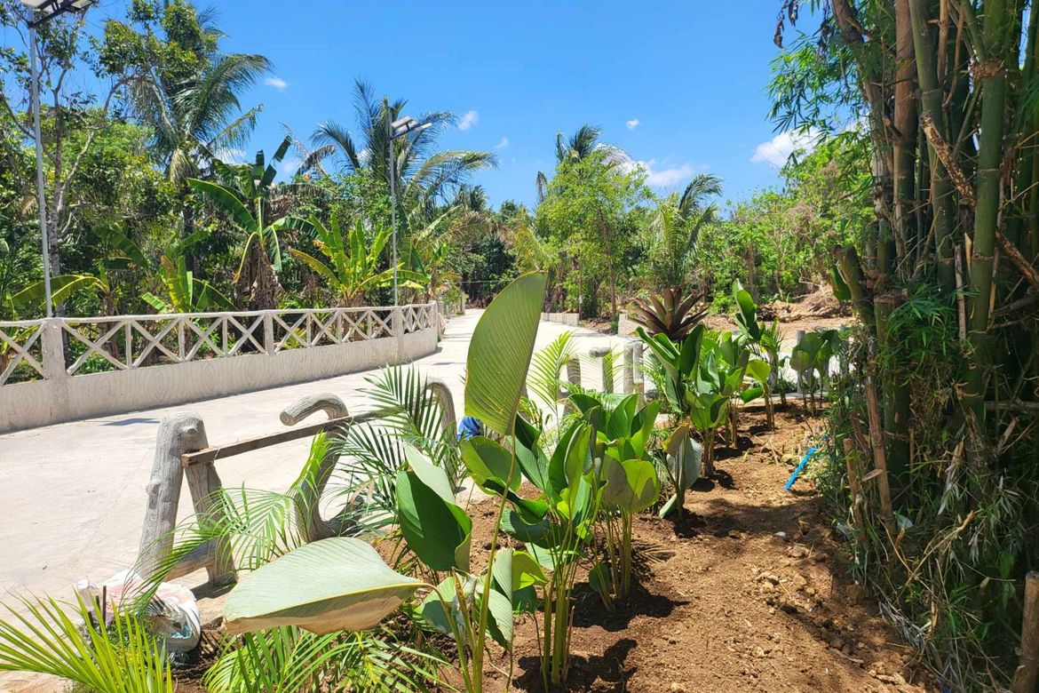 Land for Sale in Paliparan, Laurel, Batangas – photo 8